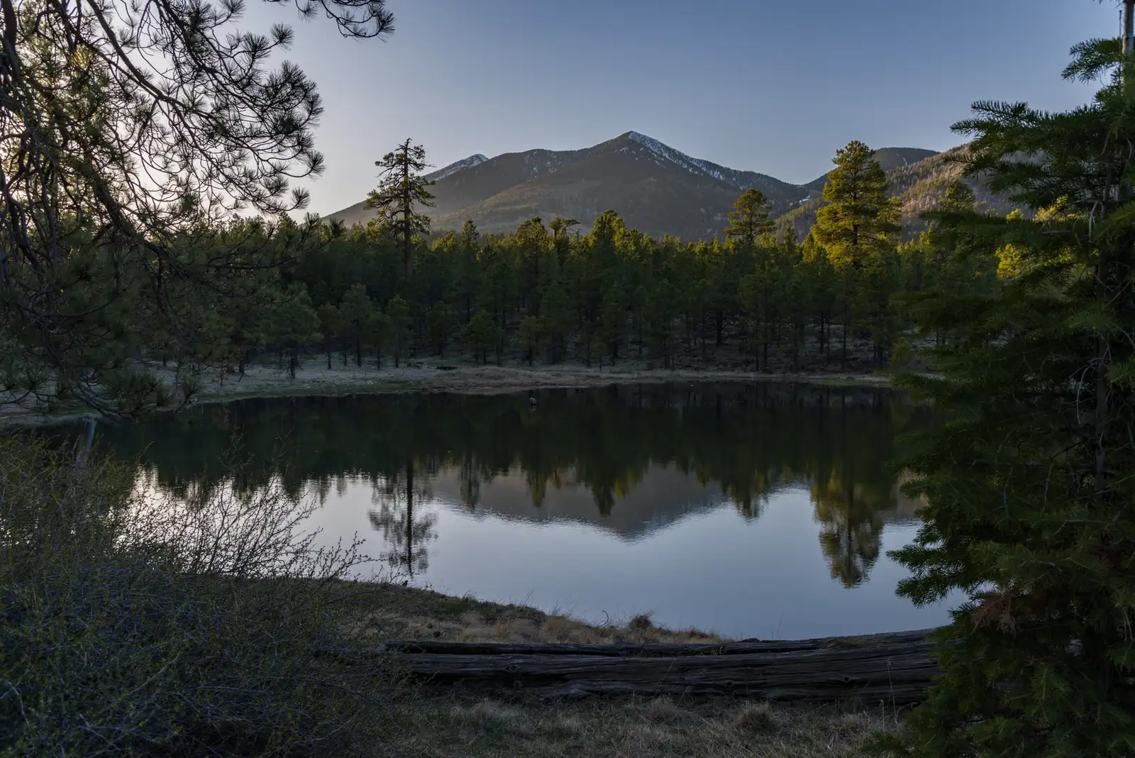Following a winter of heavy snows in Coconino National Forest, Arizona, Schultz Tank was full to the point of overflowin