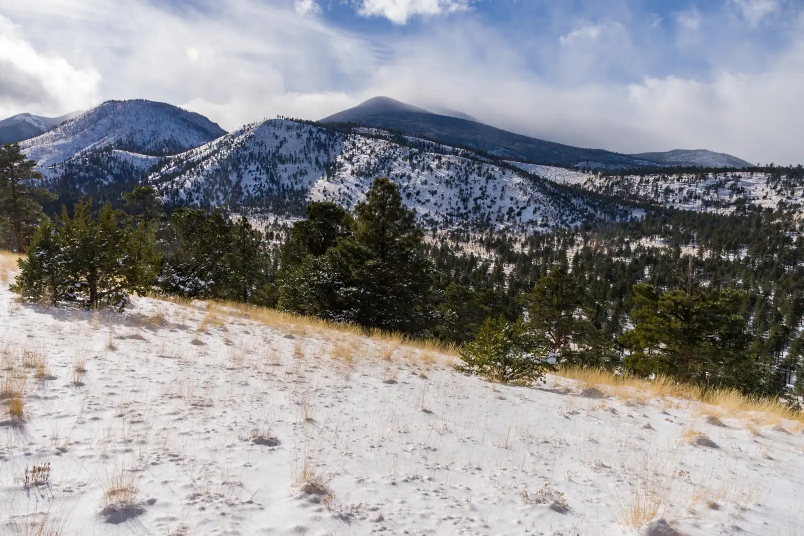 A winter storm December 24, 2016 brought a white Christmas across the state, with several inches to a foot falling aroun