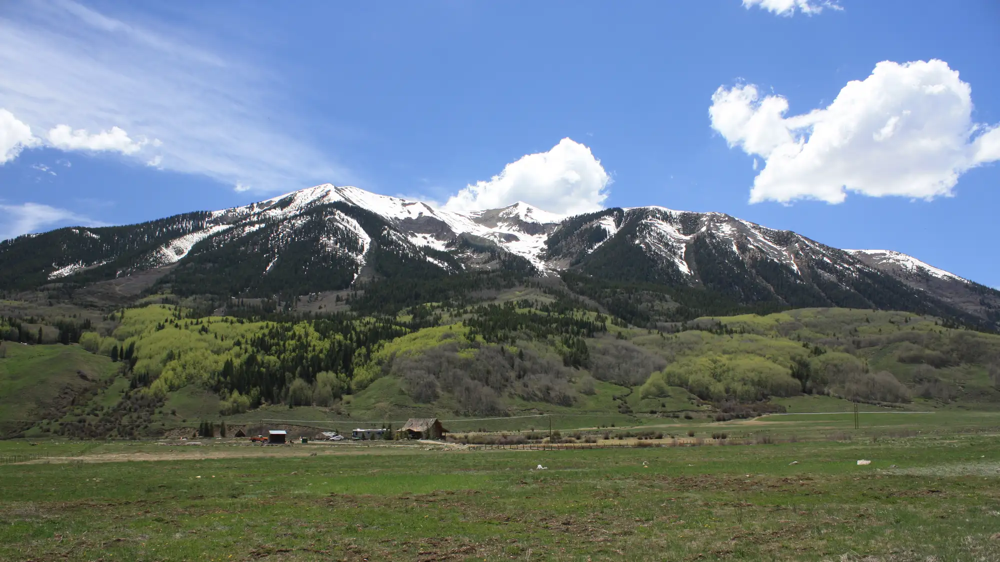 Wildflower meadow below high peaks in the Gunnison National Forest, Colorado