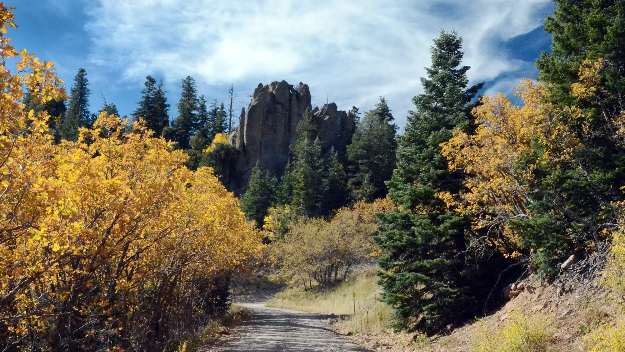 Kaibab National Forest