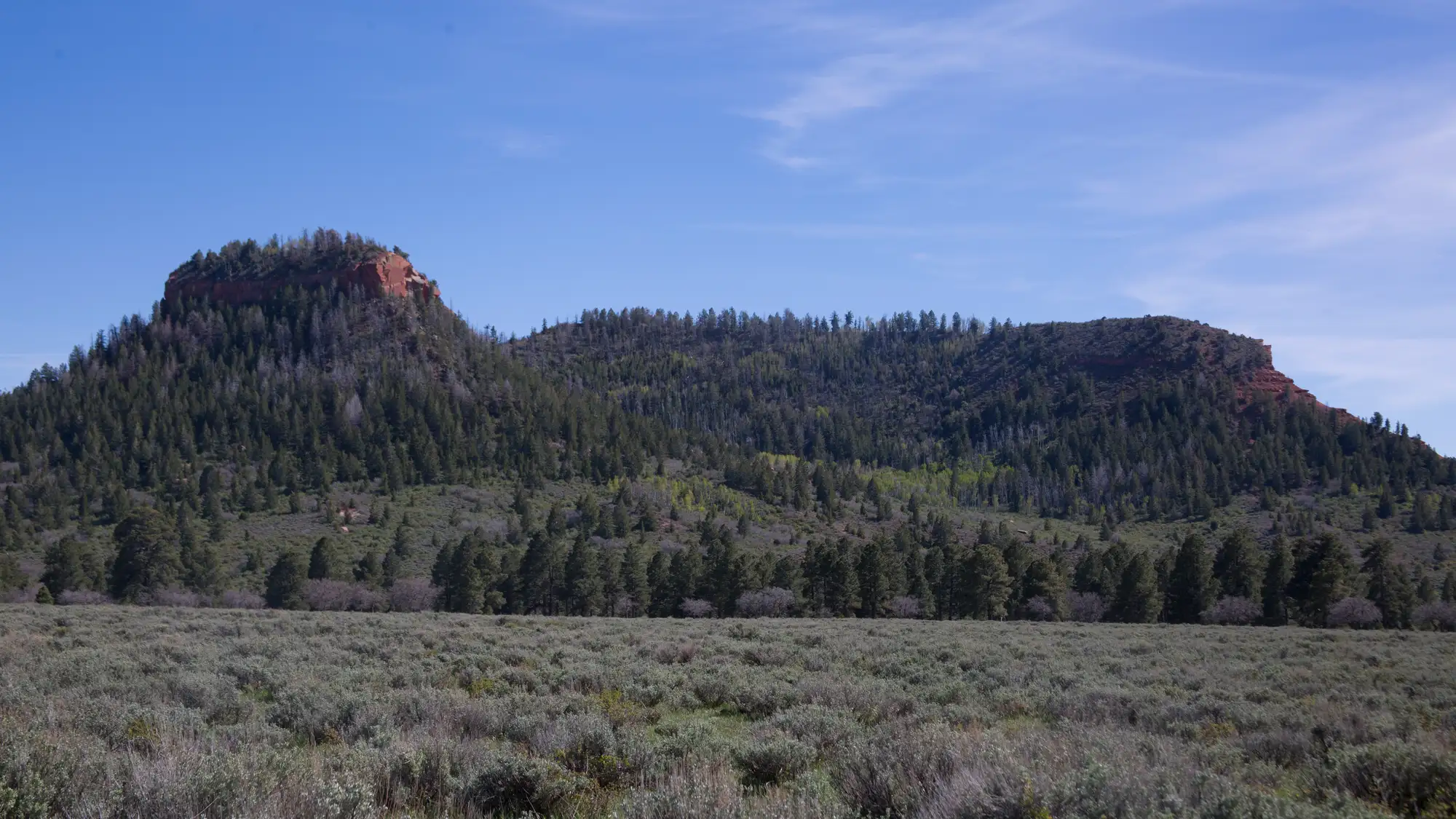 The "Bears Ears" on the Monticello Ranger District, Manti- La Sal National Forest.Photo taken May 23, 2017. Forest Servi