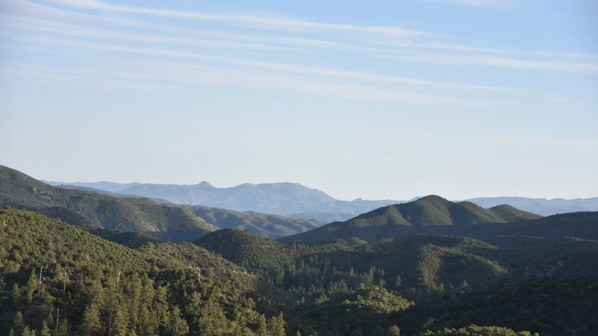 Prescott National Forest between Wilhoit and Prescott (SR 89), view to the south