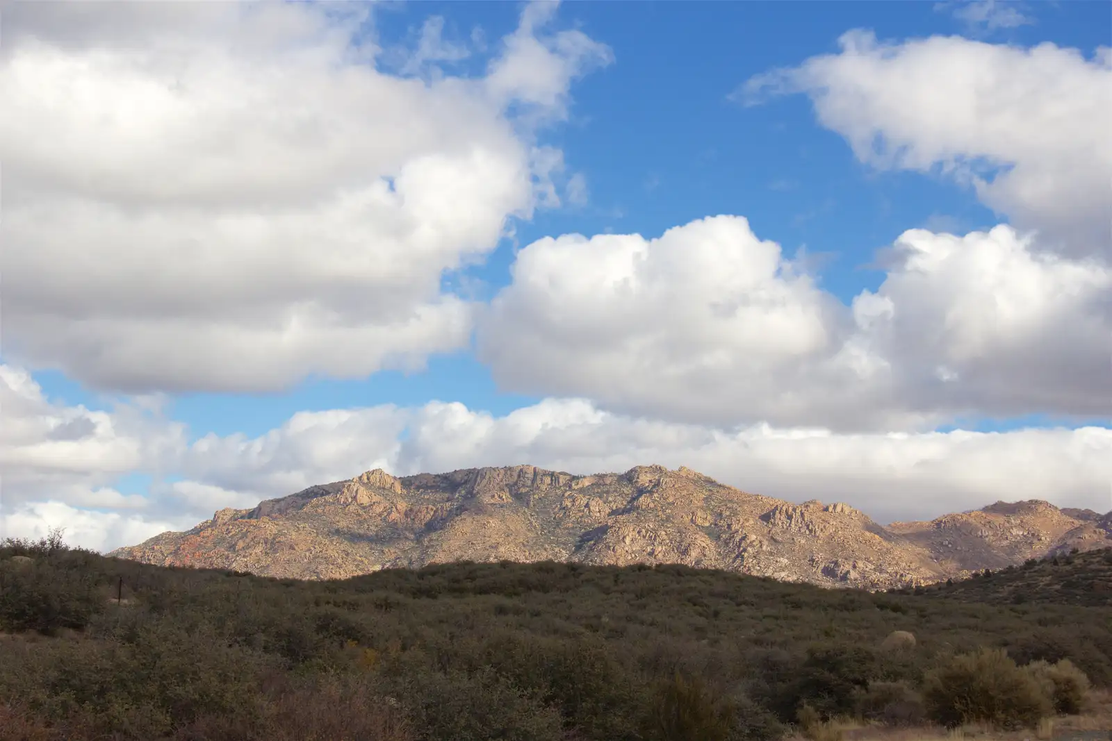 Prescott National Forest region, USA.