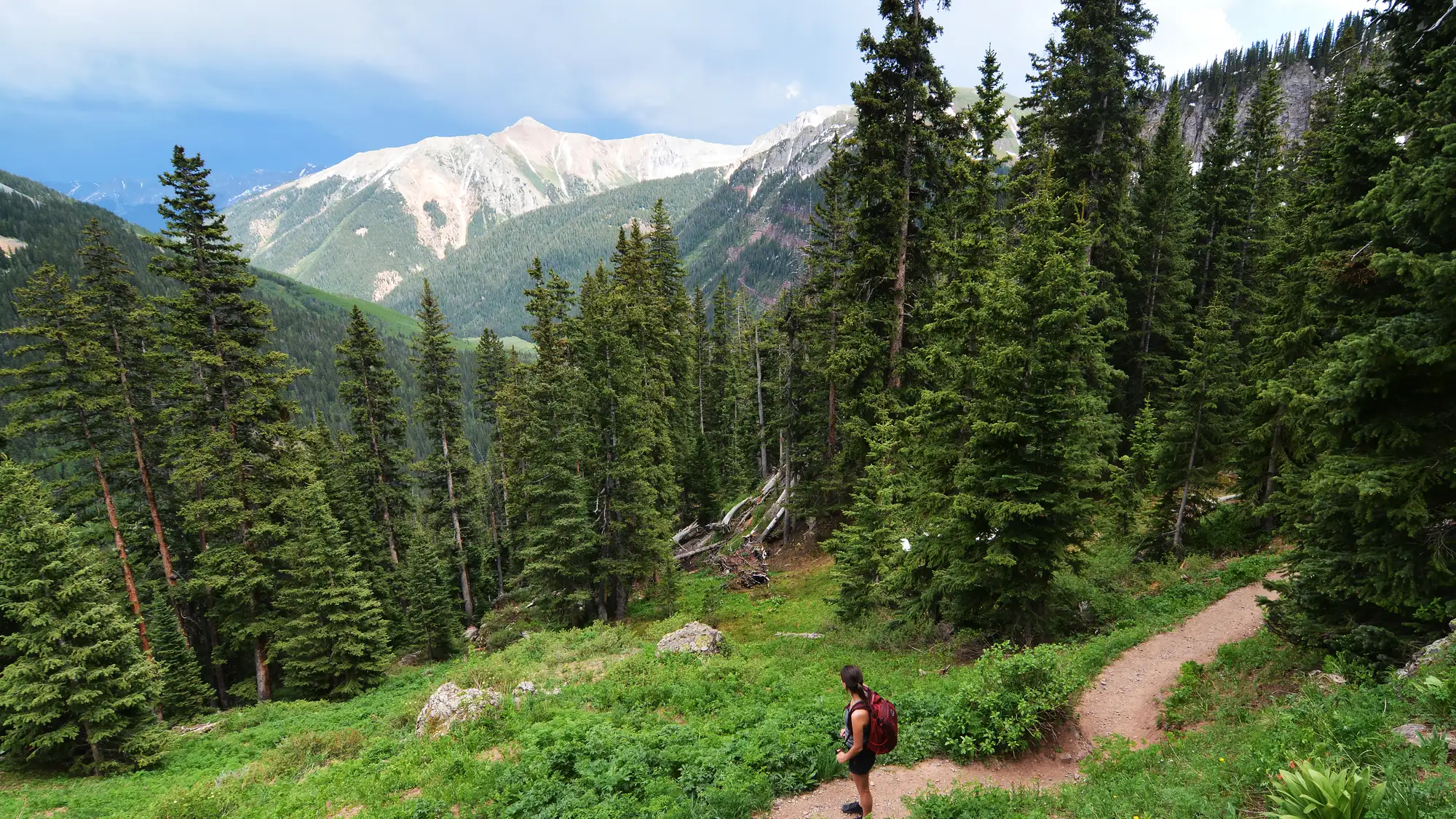 Jagged peaks above an alpine basin in the San Juan National Forest, Colorado