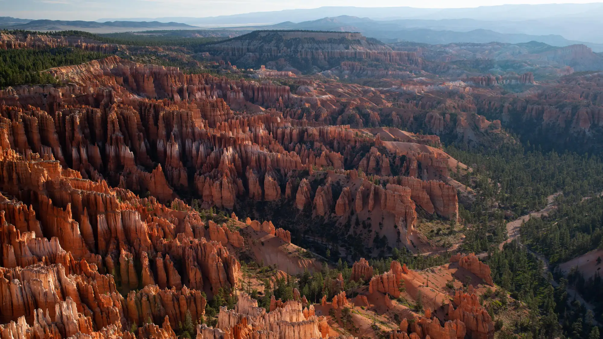 A red rock landscape and plateau forest glows with the morning sun