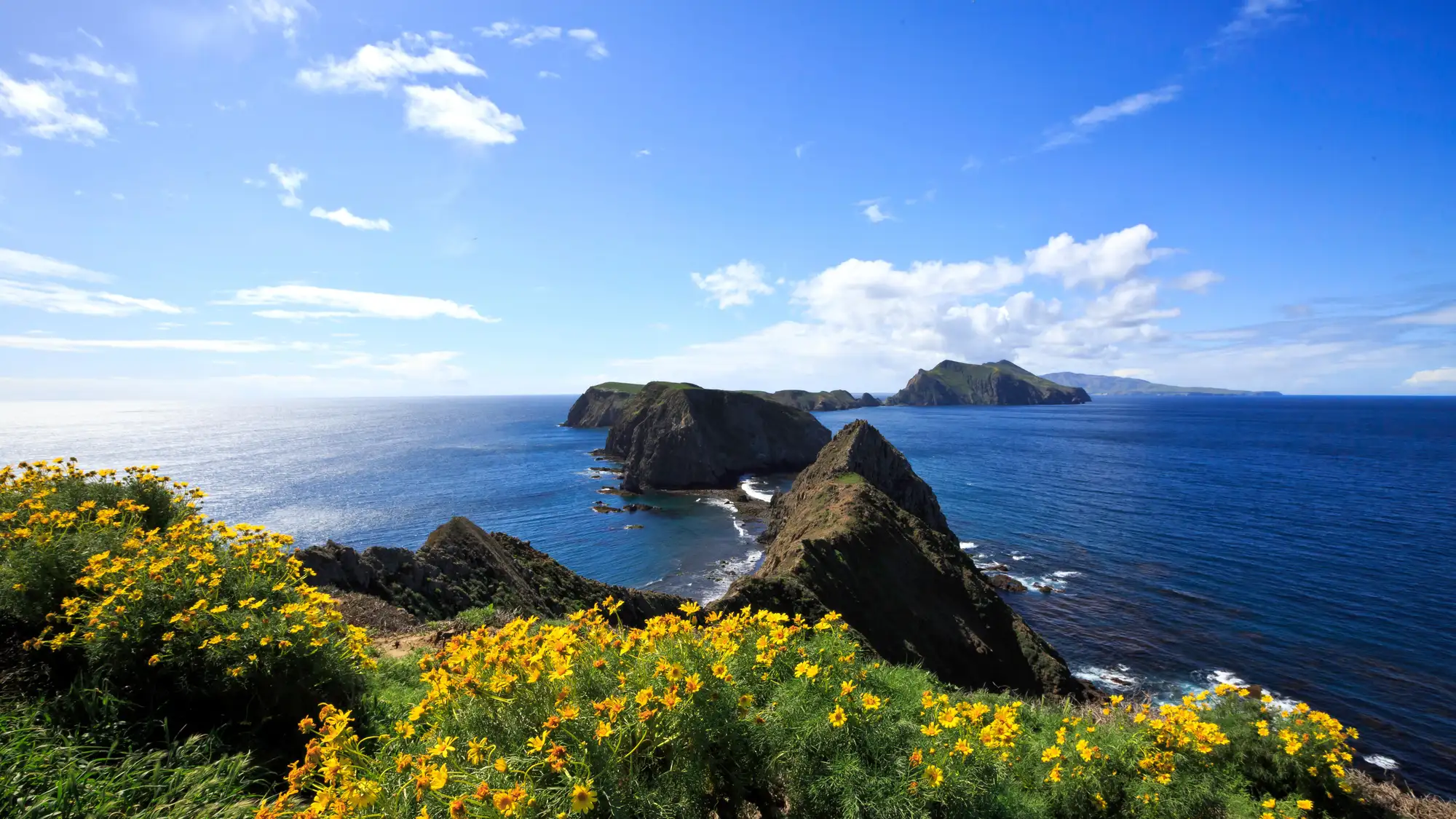 Steep, rugged ocean cliffs extending in an island chain.