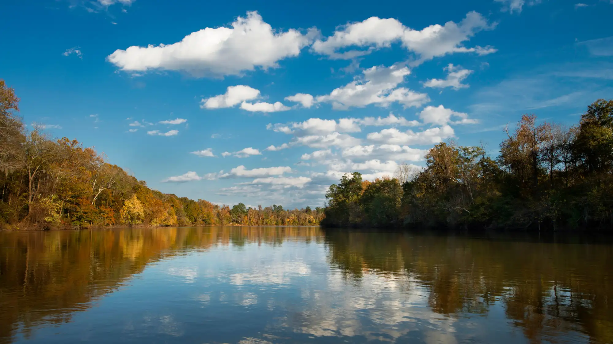 View of the Congaree River during the Fall