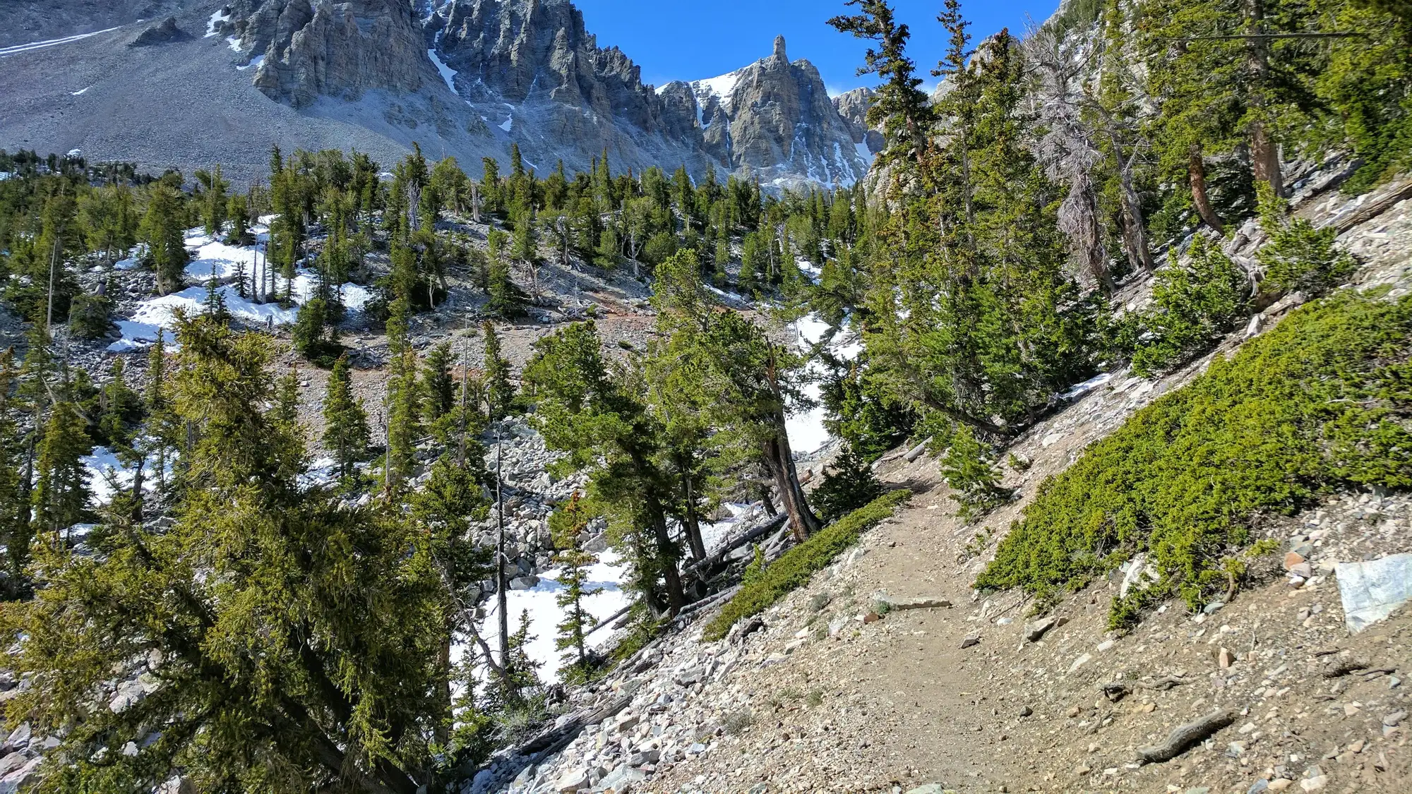 blue sky with green trees in mountain cirque