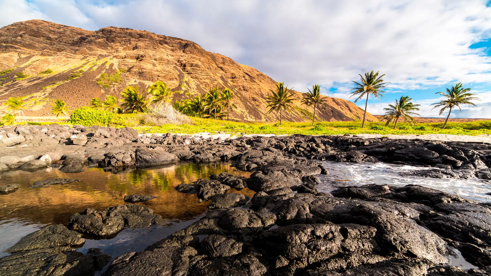 Rocky coastline with palm trees and a cliff beyon