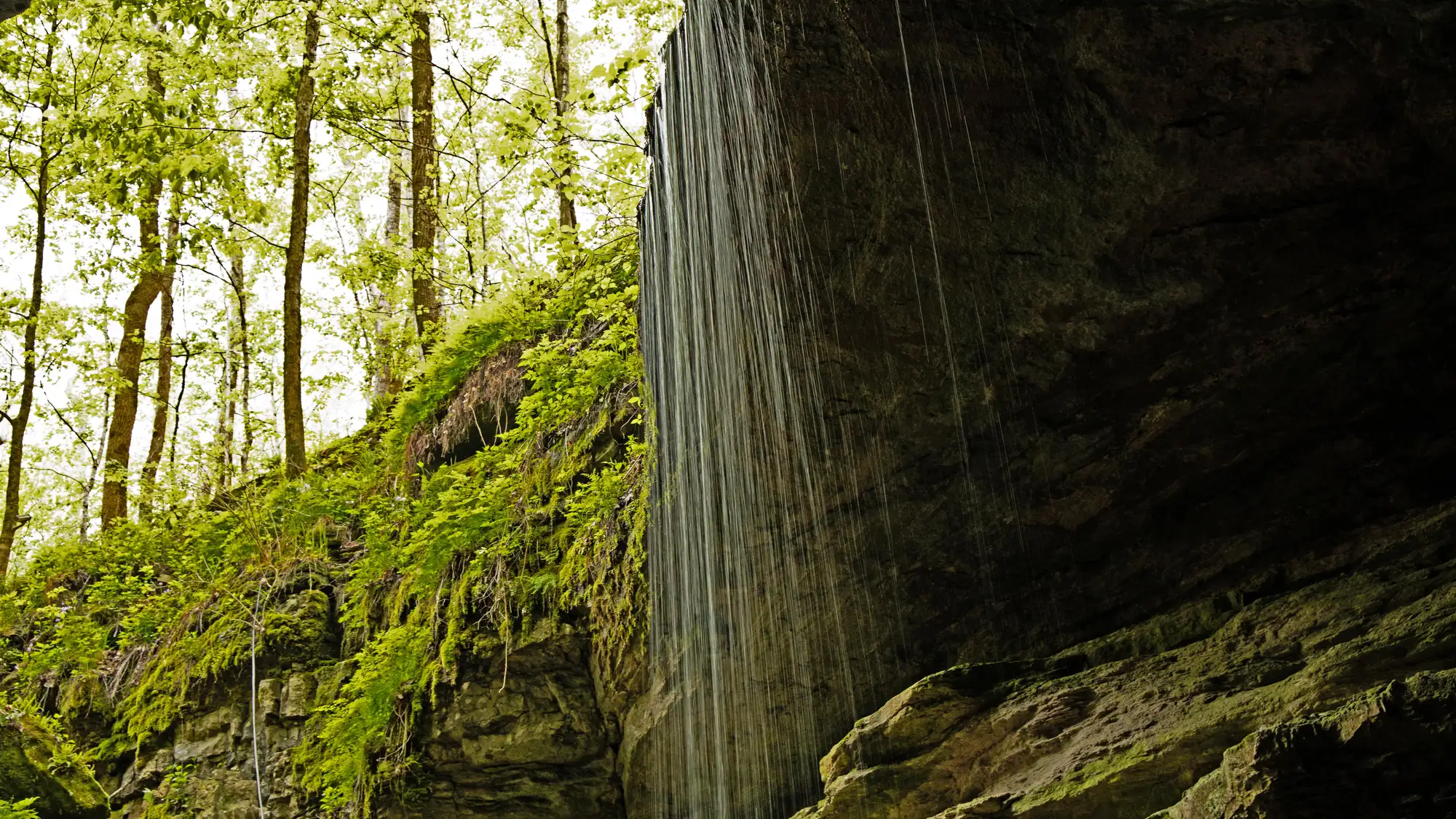 A cascade of water pours over a rock ledge. Green foliage is in the background.