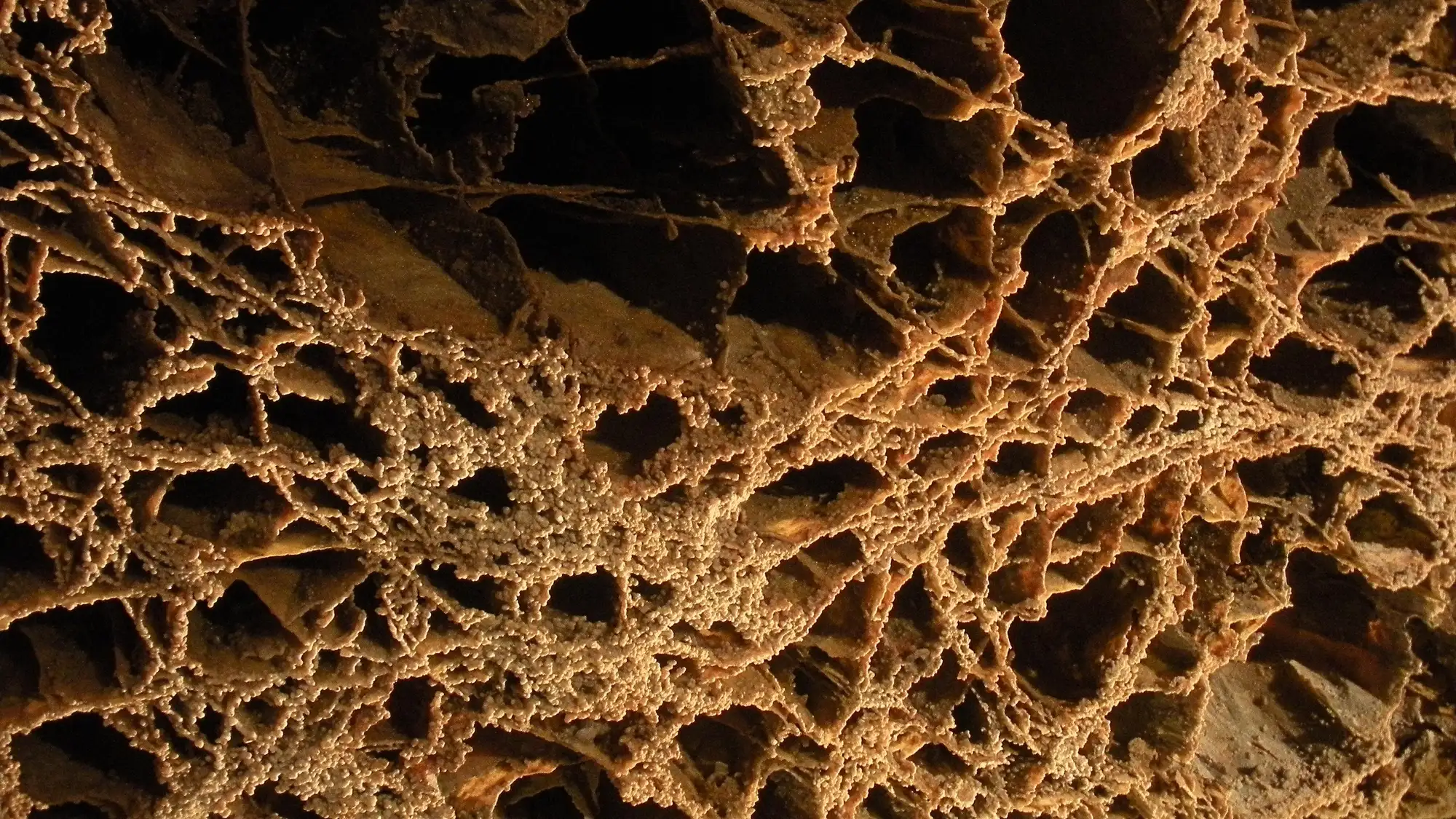 Thin fins of calcite forming box-shaped openings, called boxwork, on a cave ceiling.