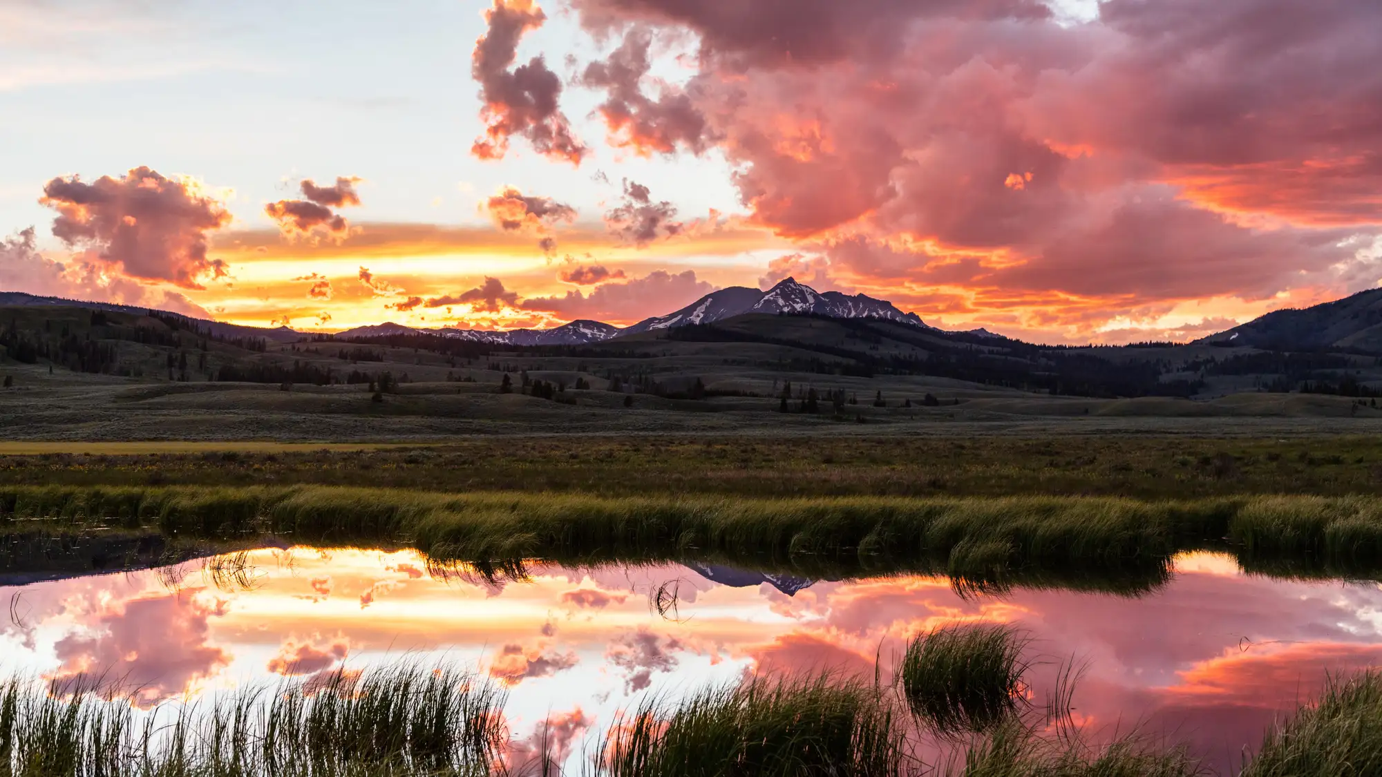 The sun sets behind the sharp point of a snow-covered mountain; pink clouds are reflected in a pond
