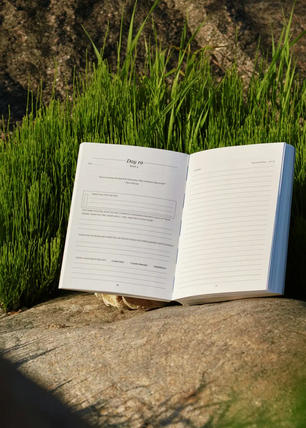 An open nature journal resting on a rock among green grass