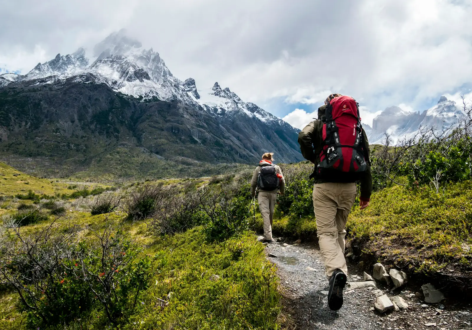 Hikers on a pine-lined mountain trail
