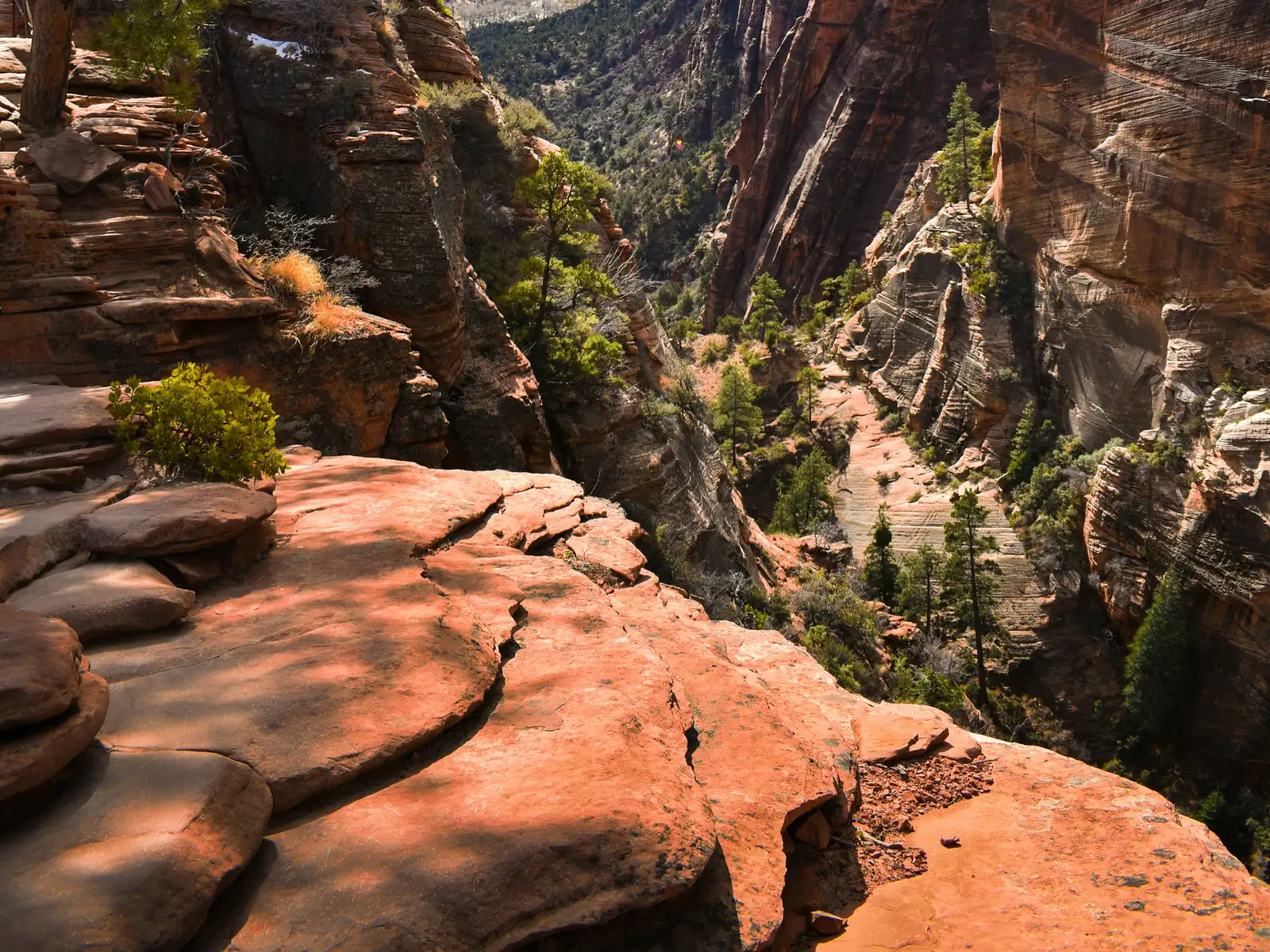 Red rock walls of Zion Canyon in Utah