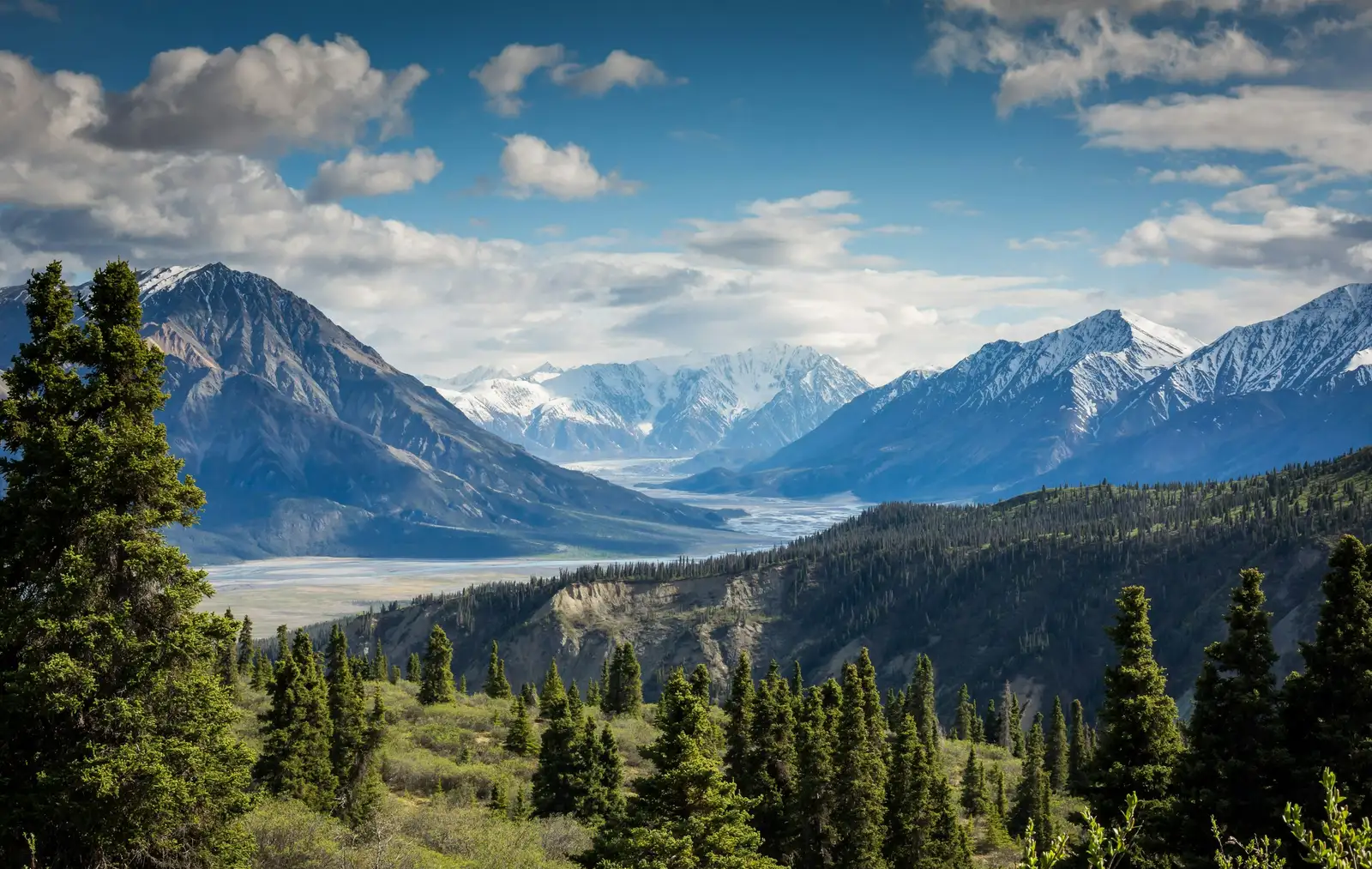 Summit view over vast wilderness