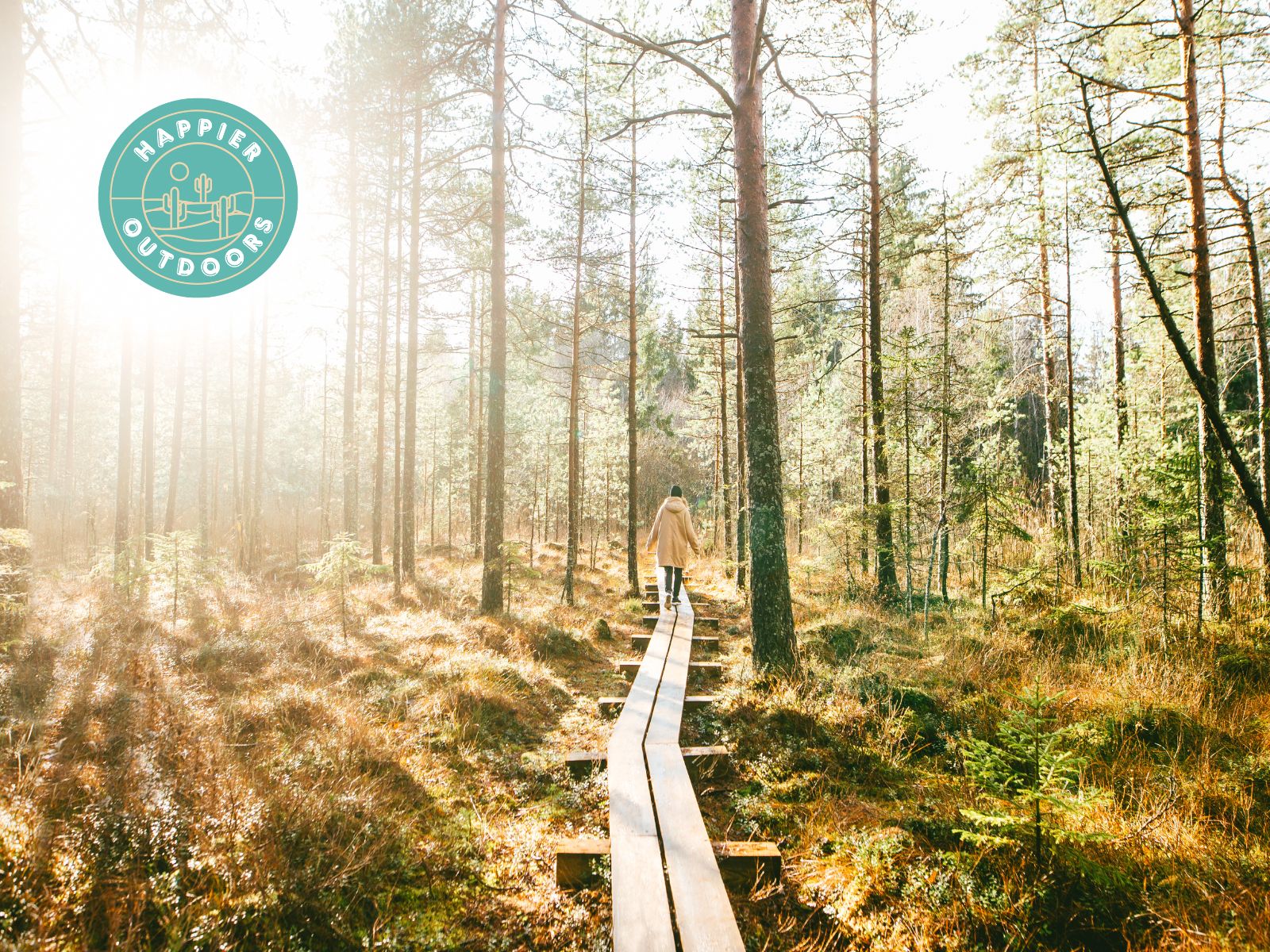 Find a nature walk near you to experience forest bathing
