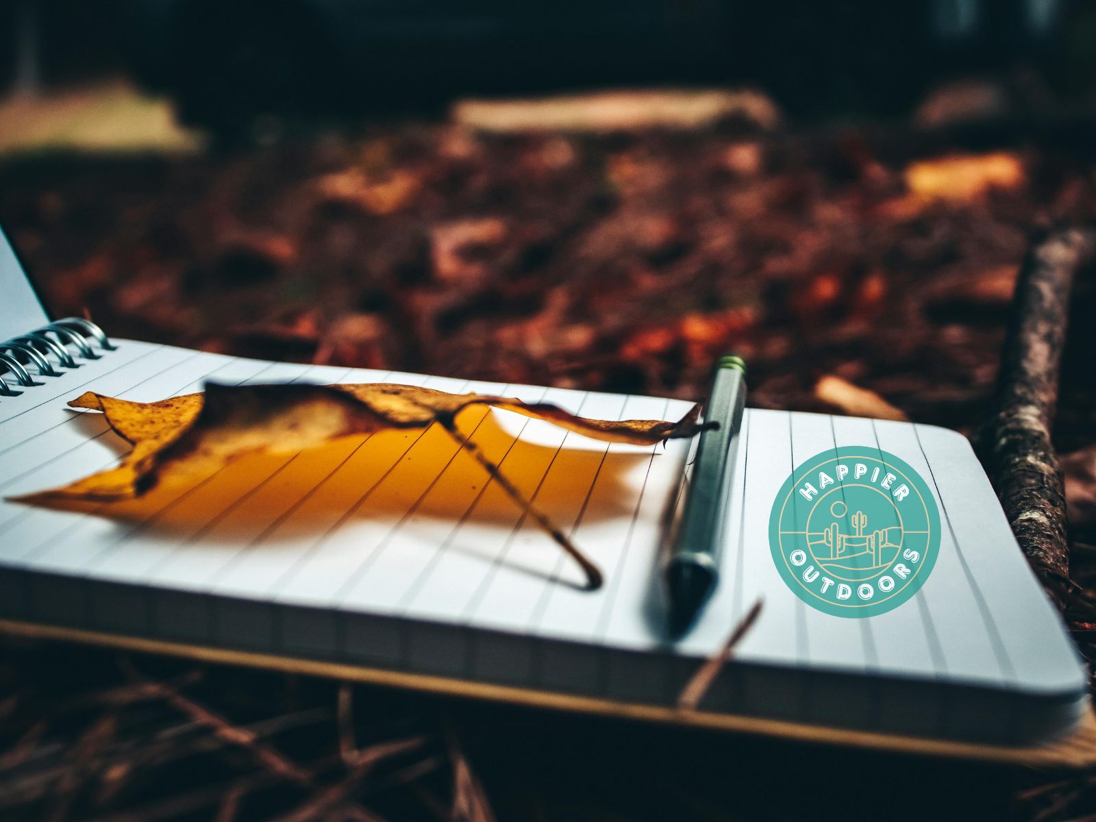 A journal in nature with an orange fall leaf laying on it next to a pen